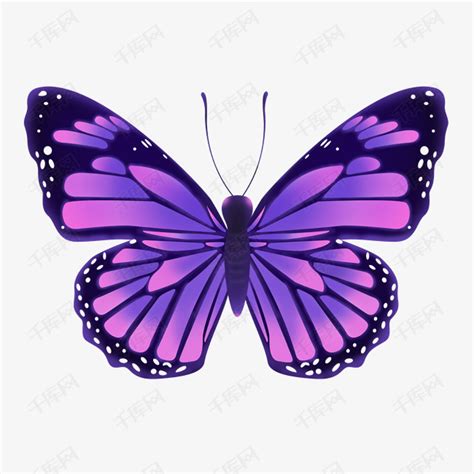 蝴蝶 紫色代表什么心情